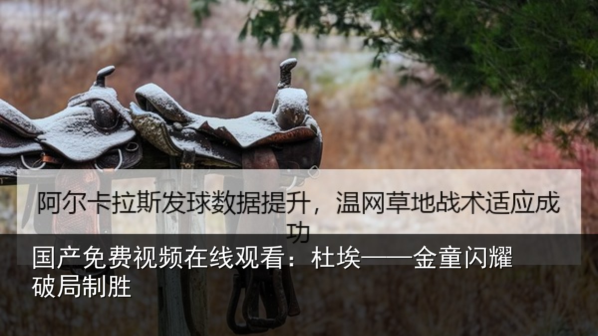 国产免费视频在线观看:杜埃——金童闪耀破局制胜
