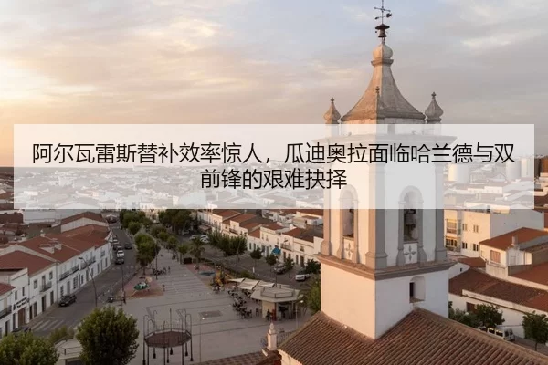 a-er-wa-lei-si-ti-bu-xiao-lv-jing-ren-gua-di-ao-la-mian-lin-ha-lan-de-yu-shuang-qian-feng-de-jian-nan-jue-ze-2-797.jpg