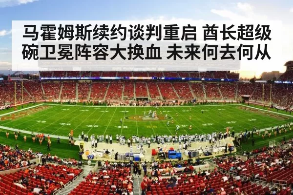 NFL football stadium crowd